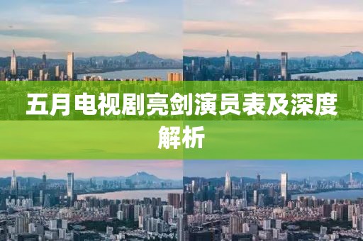 五月电视剧亮剑演员表及深度解析