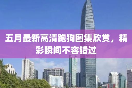 五月最新高清跑狗图集欣赏，精彩瞬间不容错过