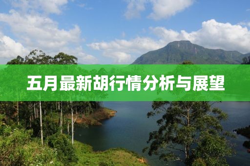 五月最新胡行情分析与展望