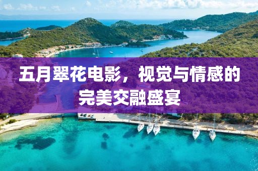 五月翠花电影，视觉与情感的完美交融盛宴