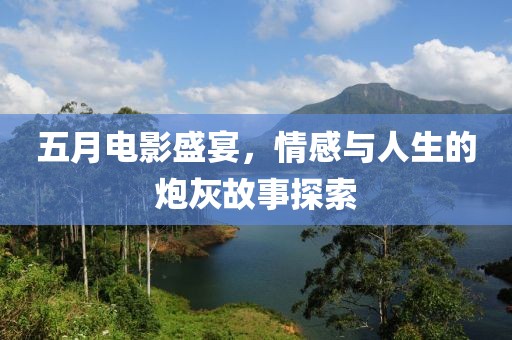 五月电影盛宴，情感与人生的炮灰故事探索