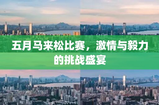 五月马来松比赛，激情与毅力的挑战盛宴