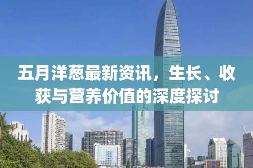 五月洋葱最新资讯，生长、收获与营养价值的深度探讨