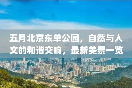 五月北京东单公园，自然与人文的和谐交响，最新美景一览