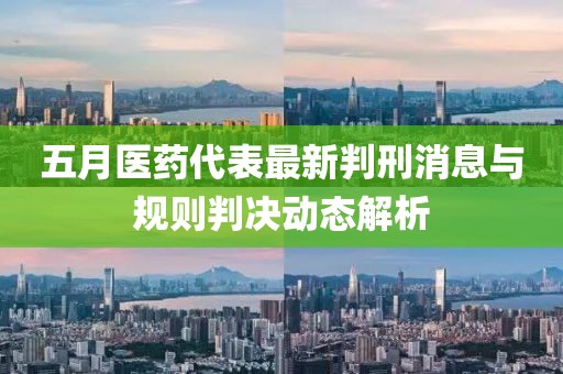 五月医药代表最新判刑消息与规则判决动态解析