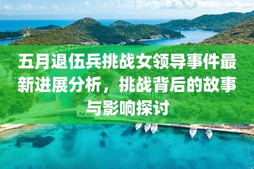 五月退伍兵挑战女领导事件最新进展分析，挑战背后的故事与影响探讨
