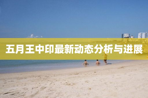 五月王中印最新动态分析与进展