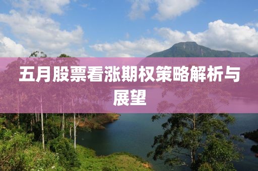 五月股票看涨期权策略解析与展望