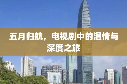 五月归航，电视剧中的温情与深度之旅