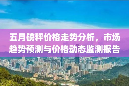 五月磅秤价格走势分析，市场趋势预测与价格动态监测报告