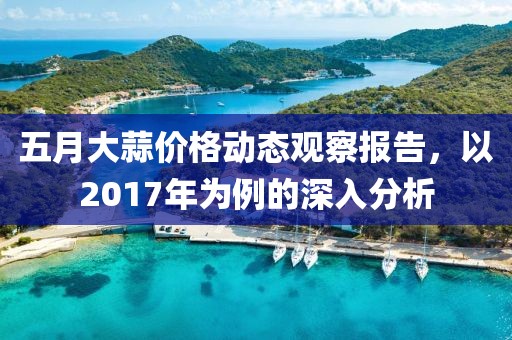 五月大蒜价格动态观察报告，以2017年为例的深入分析