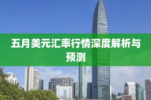 五月美元汇率行情深度解析与预测