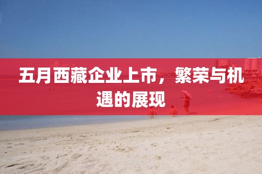 五月西藏企业上市，繁荣与机遇的展现