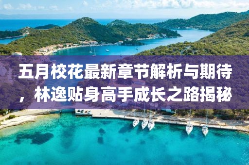 五月校花最新章节解析与期待，林逸贴身高手成长之路揭秘