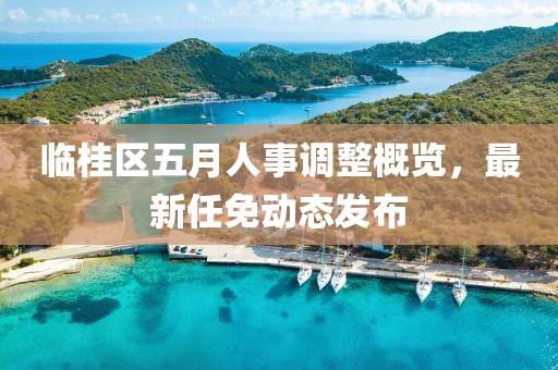 临桂区五月人事调整概览，最新任免动态发布