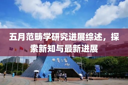 五月范畴学研究进展综述，探索新知与最新进展