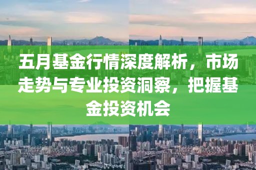 五月基金行情深度解析，市场走势与专业投资洞察，把握基金投资机会