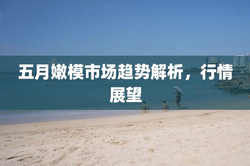 五月嫩模市场趋势解析，行情展望