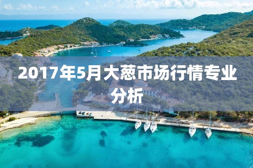 2017年5月大葱市场行情专业分析