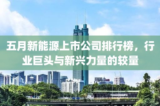 五月新能源上市公司排行榜，行业巨头与新兴力量的较量