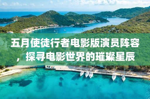 五月使徒行者电影版演员阵容，探寻电影世界的璀璨星辰