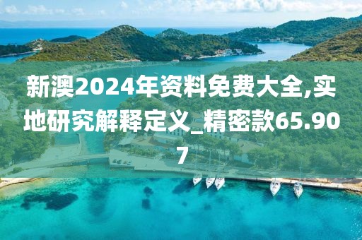 新澳2024年资料免费大全,实地研究解释定义_精密款65.907