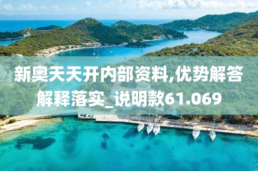 新奥天天开内部资料,优势解答解释落实_说明款61.069