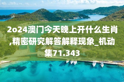 2o24澳门今天晚上开什么生肖,精密研究解答解释现象_机动集71.343