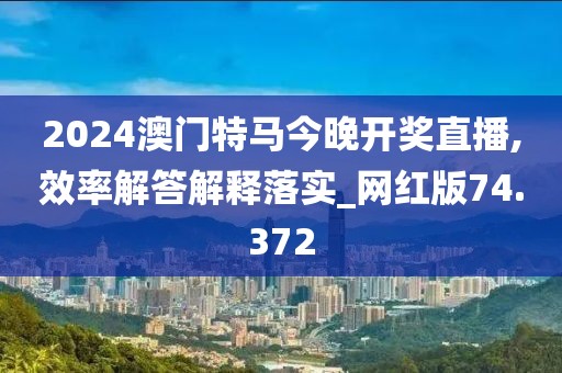 2024澳门特马今晚开奖直播,效率解答解释落实_网红版74.372